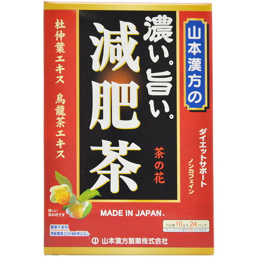 山本漢方 濃い旨い 減肥茶(10g*24分包)