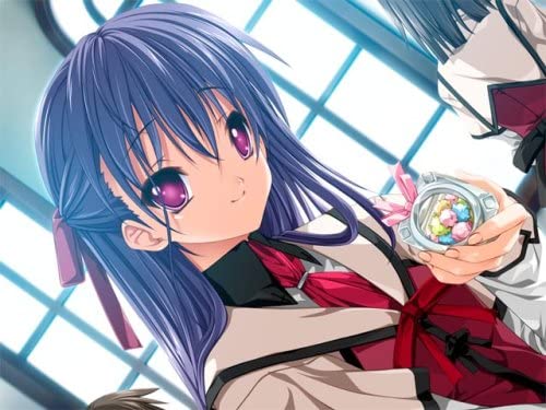 ＰＳ２　コイスルオトメトシュゴノタテ　ツウ