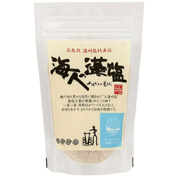 海人の藻塩 スタンドパック 100g×5袋セット 食塩 あまびとのもしお 送料無料 ネコポス