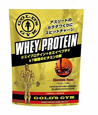 THINKフィットネス ゴールドジムF5572ホエイプロテインチョコレート 720g