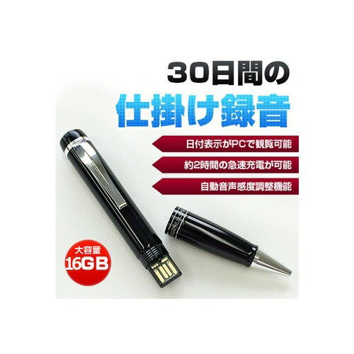 BESETOペン型ボイスレコーダー  VR-P005N(中古品) 楽天市場】MEDIK ベセトジャパン 仕掛録音ペン型ボイスレコーダー VR