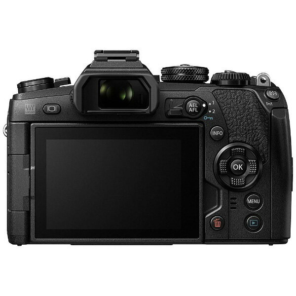 OM SYSTEM OM-D E-M1