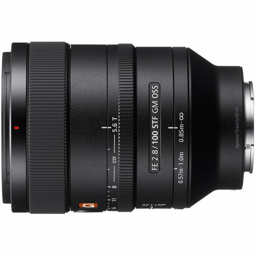 SONY FE 100mm F2.8 STF GM OSS
