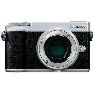 PANASONIC LUMIX GX7 Mark II