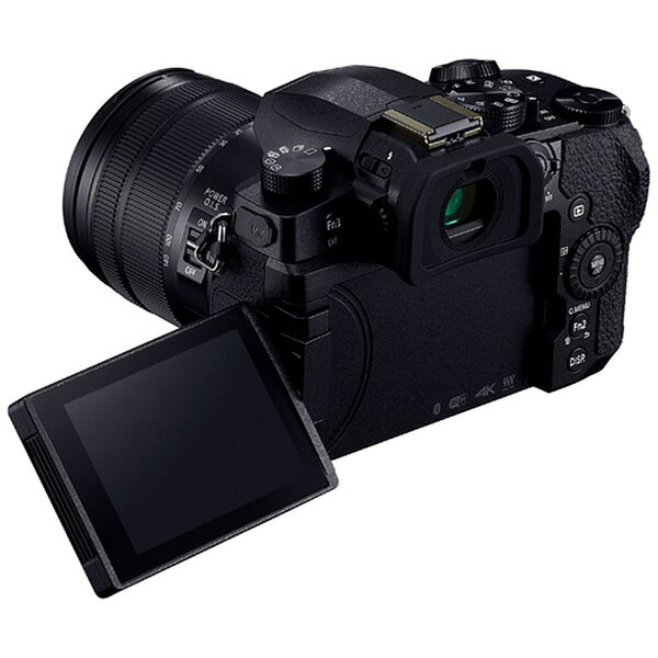 PANASONIC LUMIX DC-G99