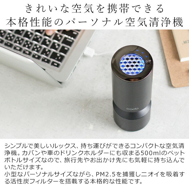 岩渕ウェルネス MP-C20U-BK