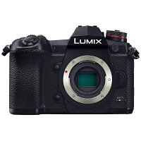 楽天市場】Panasonic LUMIX ミラーレス一眼カメラ オレンジ DC-GF9
