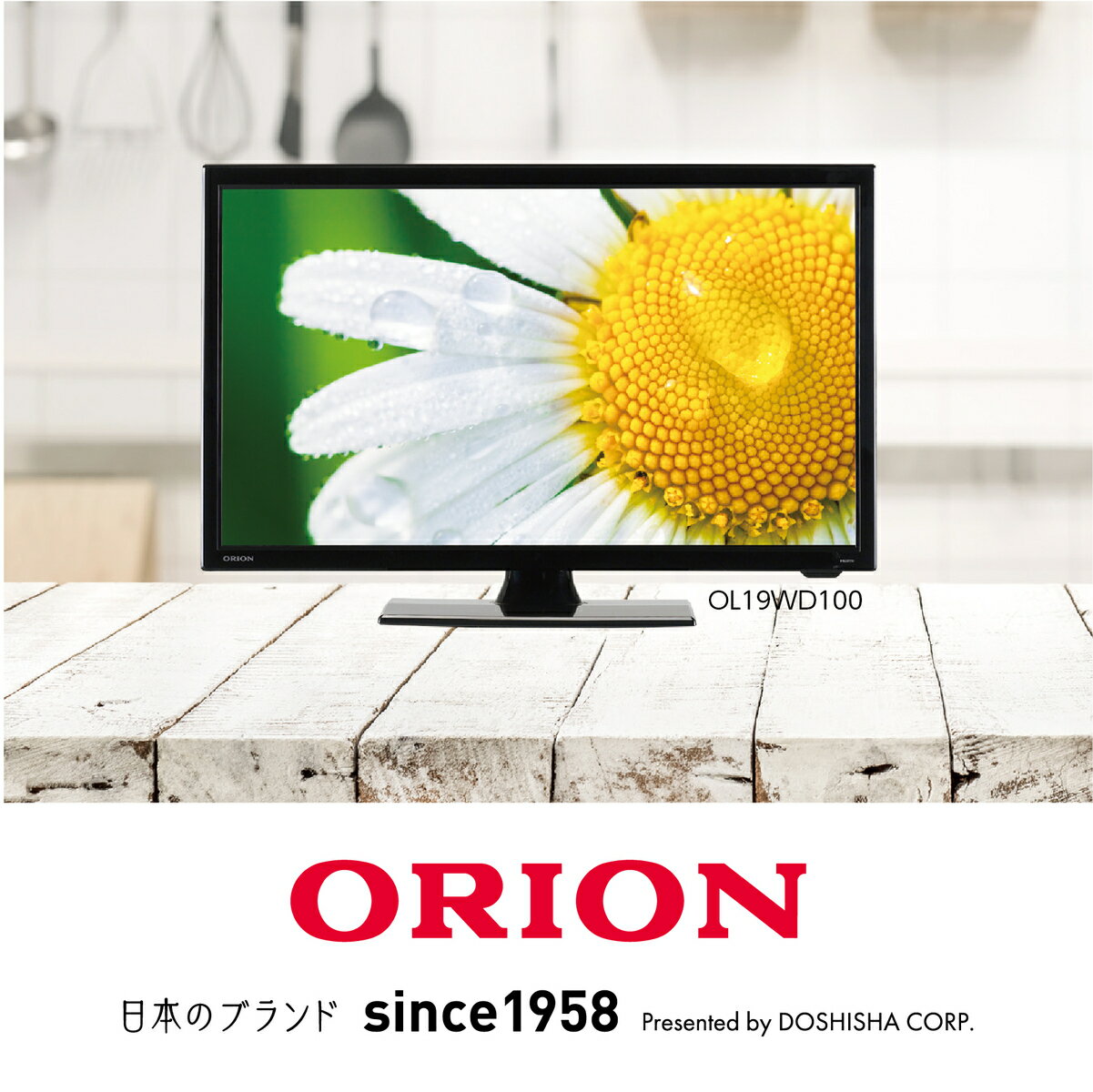 楽天市場】ドウシシャ ORION 液晶テレビ OL65XD100 | 価格比較