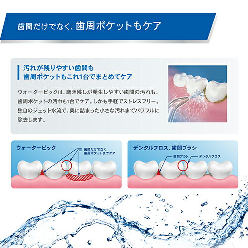 楽天市場】waterpik WF-03J010 | 価格比較 - 商品価格ナビ