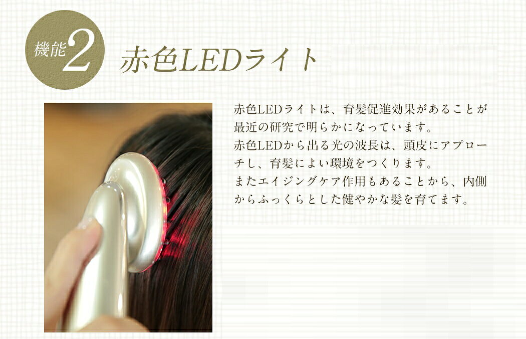 楽天市場】ウイルエー WILLA（ウイルエー）Dr.SCALP（ ドクター