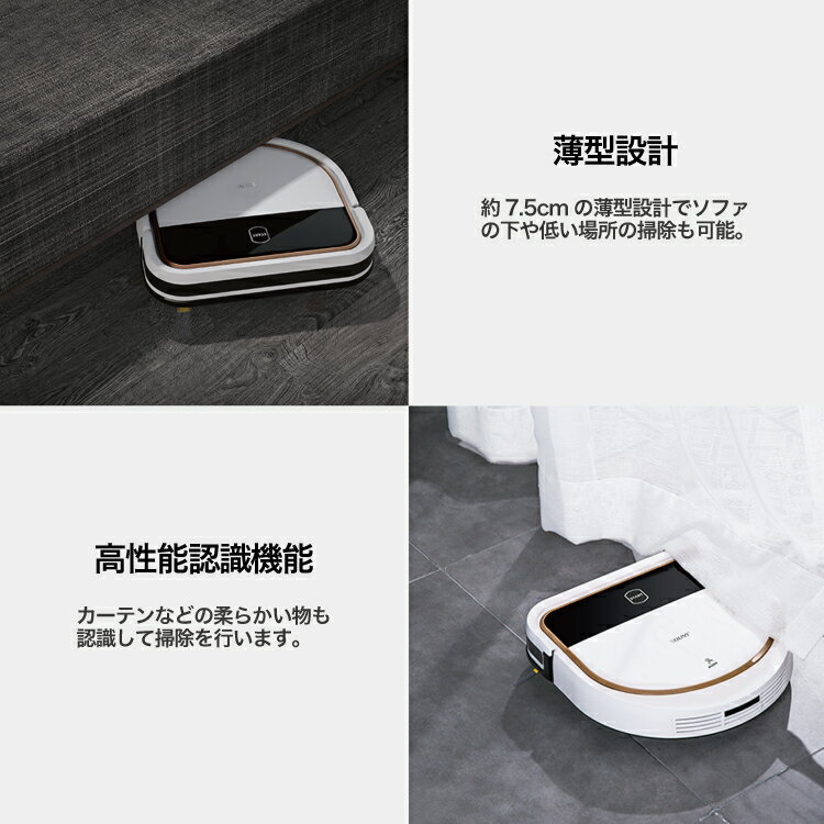 ソウイジャパン ロボット掃除機 2in1 2way 吸引 水拭き 自動掃除 SY-111