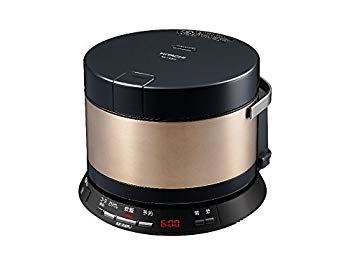日立グローバルライフソリューションズ RZ-VS2M-N