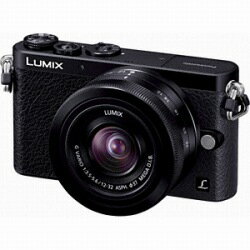 PANASONIC LUMIX DMC-GM1