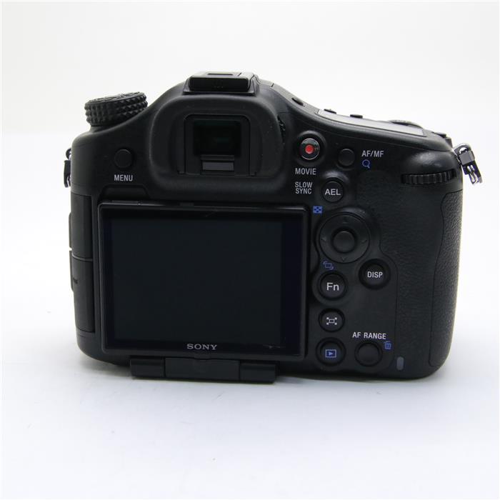 SONY α99