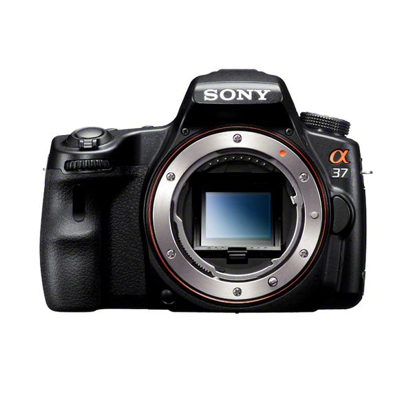 デジタルカメラ SONY ILCE-QX1L 小寺信良の週刊 Electric Zooma!】第682回:レンズスタイルカメラから
