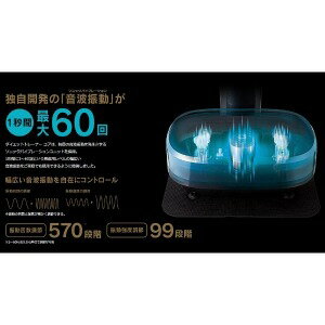 体幹トレーナー 楽天市場】フジ医療器 FUJIIRYOKI 体幹トレーナー フィットネス