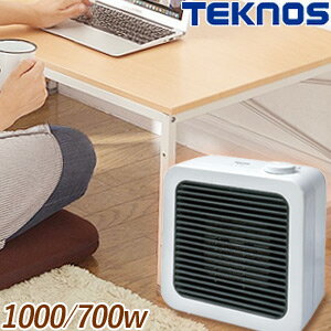 TEKNOS TS-101S