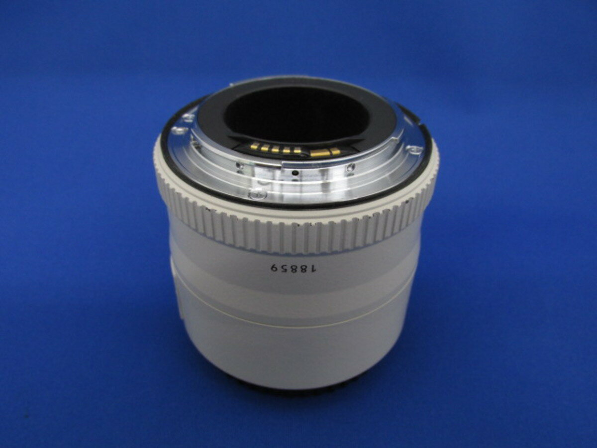 楽天市場】ケンコー・トキナー Kenko テレプラスPRO300 2X DGX ニコン