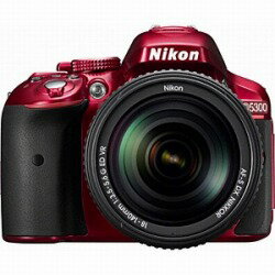 Nikon - Nikon D5300 AF-P ダブルズームキット Amazon.co.jp: Nikon デジタル一眼レフカメラ D5300 AF-P ダブル