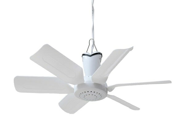 楽天市場】大光電機 DAIKO シーリングファン ASN-014 | 価格比較