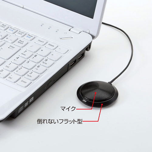 楽天市場】サンワサプライ サンワダイレクト iPhone・iPad向けWEB会議