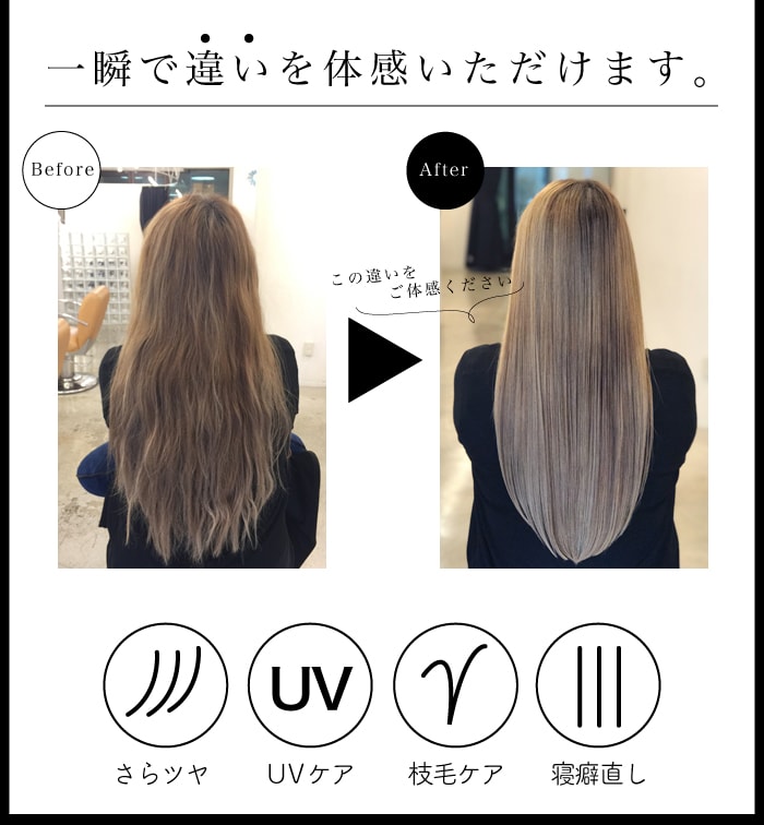 HOLISTIC ヘアードライヤー cures CCID-G04B