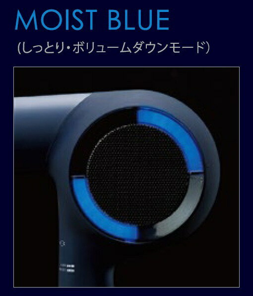 HOLISTIC ヘアードライヤー cures CCID-G04B