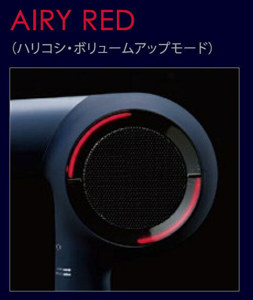 HOLISTIC ヘアードライヤー cures CCID-G04B