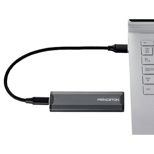 新品☆プリンストン USB3.1 Gen 2対応ゲーミングSSD 480GB 楽天市場】プリンストン Princeton USB3.1 Gen2対応ポータブルSSD