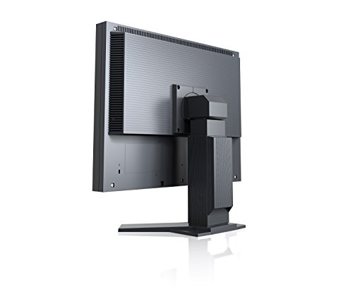 EIZO 液晶ディスプレイ S2133-HBK 21.3インチ