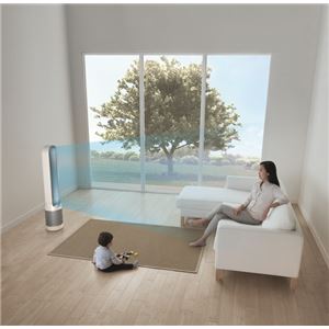 楽天市場】dyson Pure Cool 空気清浄機能付タワーファン TP 00 WS