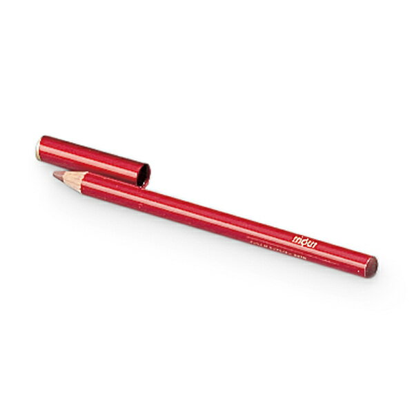 楽天市場】資生堂 INOUI(インウイ) ザ・リップライナー BR 775 | 価格