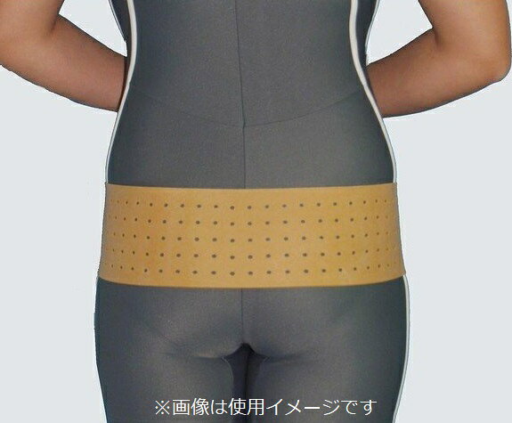 楽天市場】ドリーム 骨盤スタンド(1コ入) | 価格比較 - 商品価格ナビ