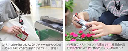 ＤＳ・ハンドリンカーミニー