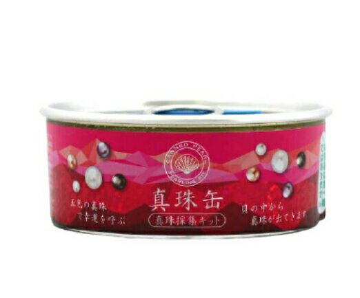 楽天市場】Pirates Factory 真珠缶 真珠採集キット | 価格比較 - 商品