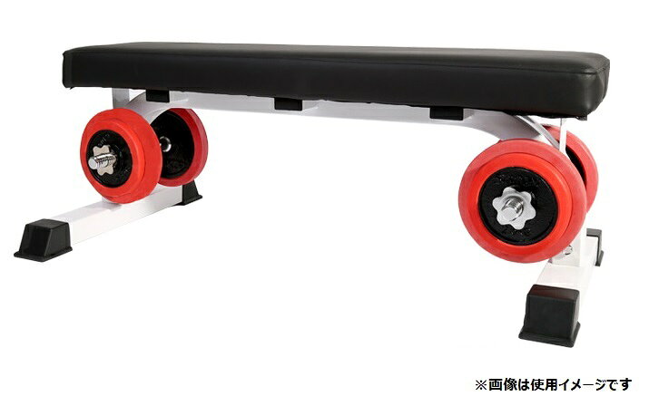 楽天市場】リーディングエッジ 固定式 フラットベンチ LEFB-005 | 価格 