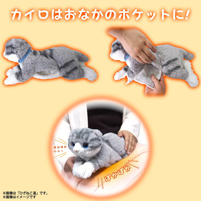 楽天市場】サンレモン ひざねこ温 スコティッシュフォールド・グレー