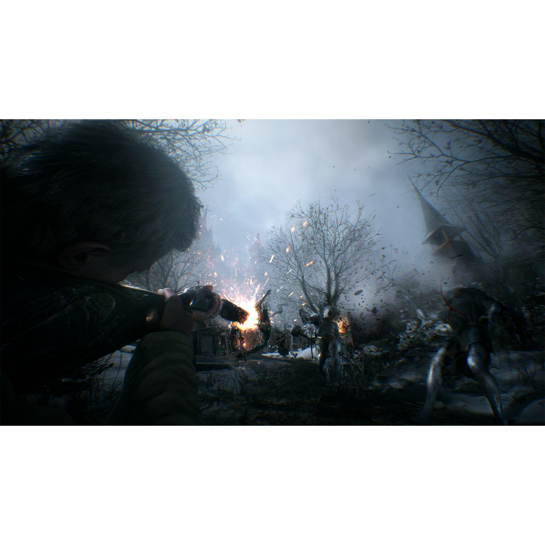 BIOHAZARD VILLAGEのパッケージ画像