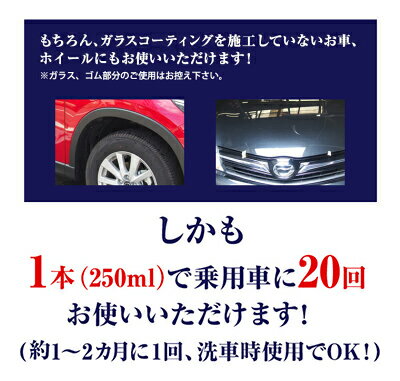 ガラスコーティング メンテナンス剤 ナノピカピカレイン　TOP-KMAINTE-250