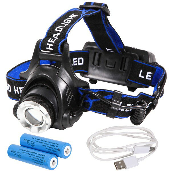 楽天市場】PRINCETON APX20-PRO-BK LEDヘッドライト APEX PRO | 価格