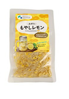 豆もやし様 豆もやし様 リクエスト 2点 まとめ商品 まとめ売り