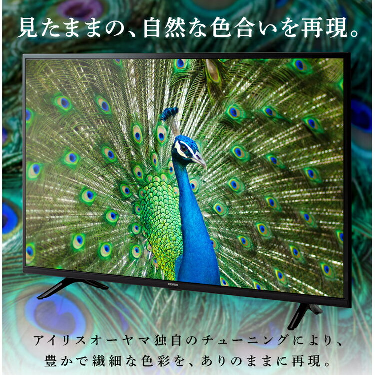 アイリスオーヤマ Fiona ハイビジョン液晶テレビ 32インチ 32WB10P