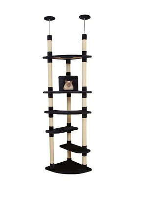 楽天市場】マルカン CT-523 キティウォーク | 価格比較 - 商品価格ナビ