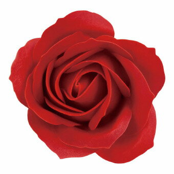 九州フラワーサービス petit MIX レッド 1個