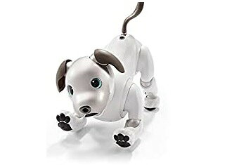 楽天市場】ソニーグループ SONY AIBO ERS-1000 | 価格比較 - 商品価格ナビ