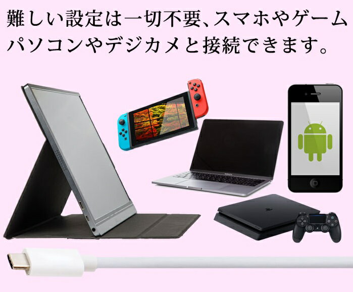 WINTEN 薄型モバイルディスプレイ 15.6インチ WT-156H2-BS