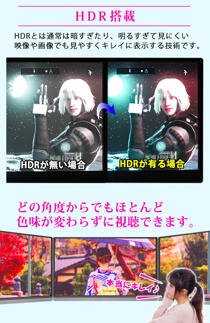 WINTEN 薄型モバイルディスプレイ 15.6インチ WT-156H2-BS