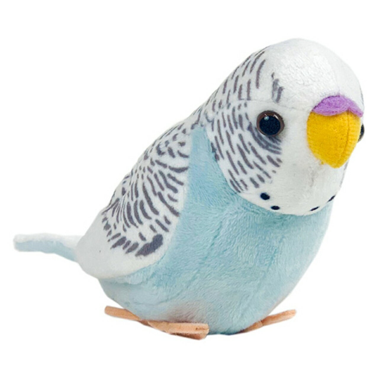 せきせいいんこ セキセイインコ🦜