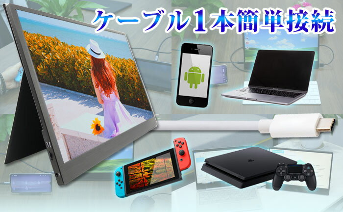 楽天市場】ウィンテン WINTEN モバイルモニター 17.3インチ WT-173SF