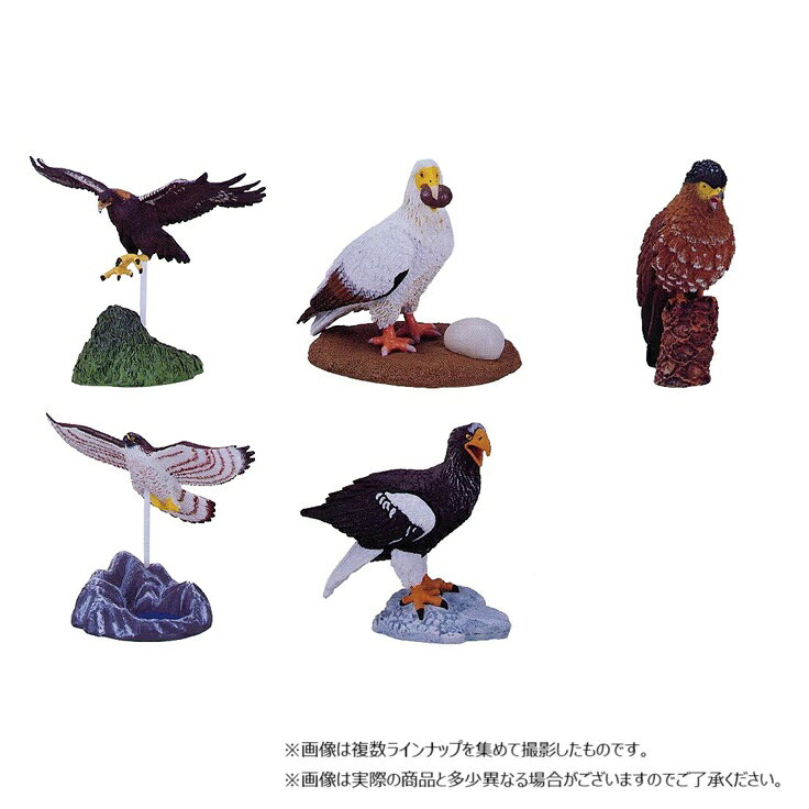 楽天市場】カロラータ 立体図鑑リアルフィギュアボックス ラプター